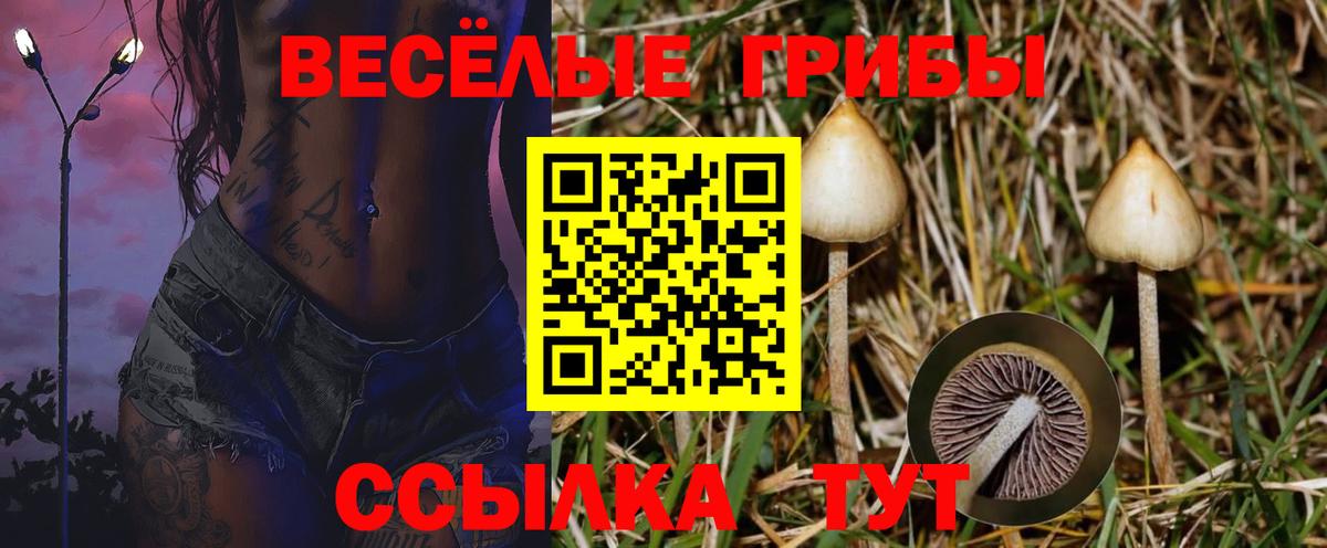 Курчатов  Alpha-PVP СОЛЬ   Меф МЯУ МЯУ кристаллы  ГАШИШ  Кетамин  Вход с VPN  КОКАИН 