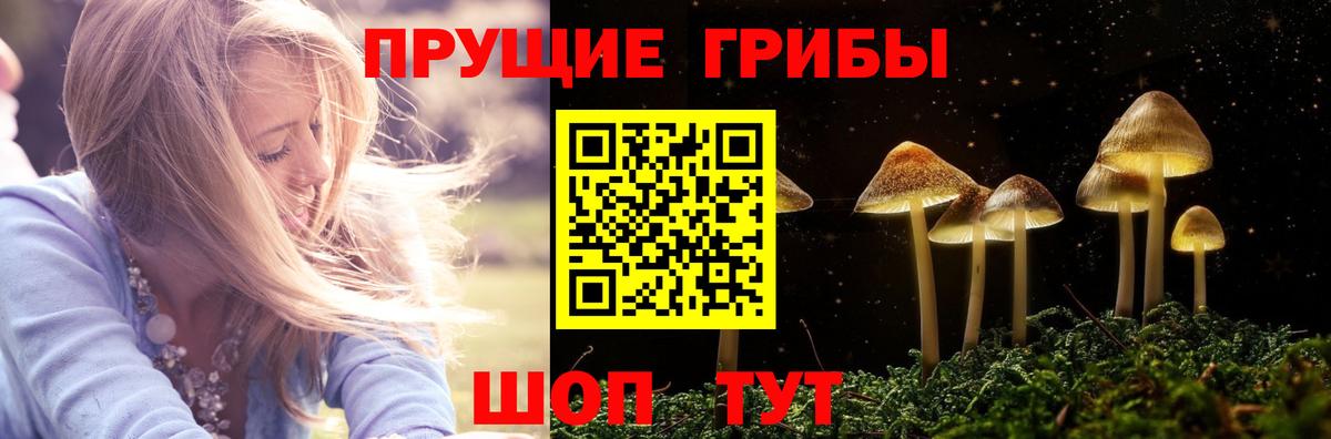 Псилоцибиновые грибы GOLDEN TEACHER  сколько стоит  Вход с VPN  Курчатов  Псилоцибиновые грибы ЛСД 